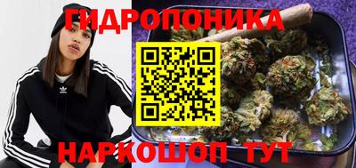 a pvp Апшеронск